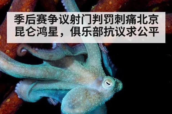 季后赛争议射门判罚刺痛北京昆仑鸿星，俱乐部抗议求公平
