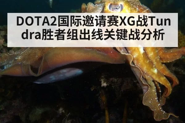 DOTA2国际邀请赛XG战Tundra胜者组出线关键战分析